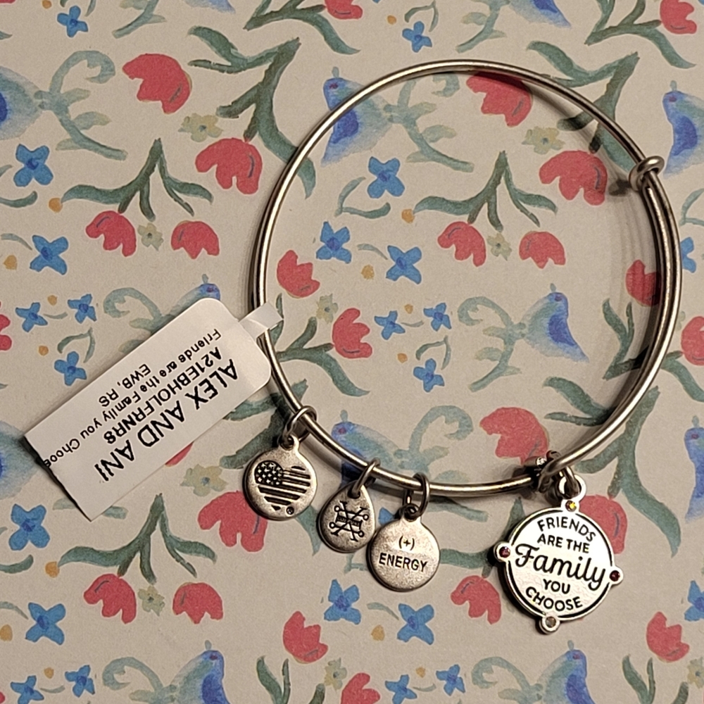 Alex & Ani Friends Are The Family You Choose Charm Bangle Bracelet Silver-tone - Picture 14 of 16